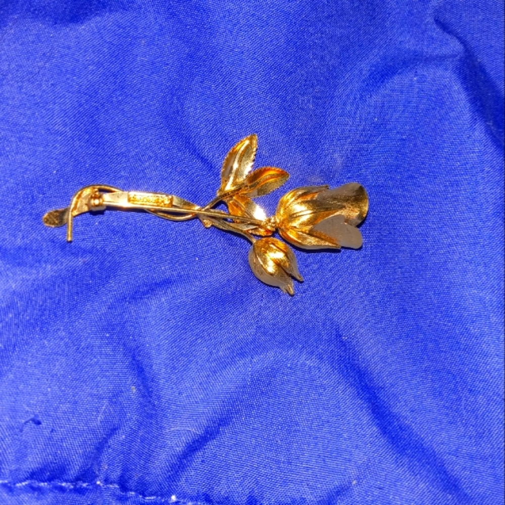 Giovanni gold rose